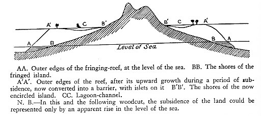 "Charles' Monologue"