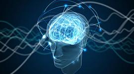 Timeline: Introduccion a la Psicologia GRUPO N