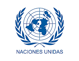 La Administración Pública actual