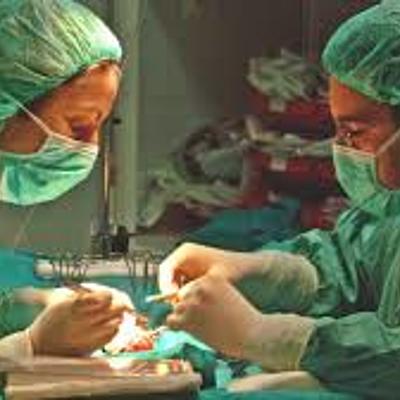 Timeline: Los trasplantes, primeras investigaciones