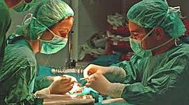 Timeline: Los trasplantes, primeras investigaciones