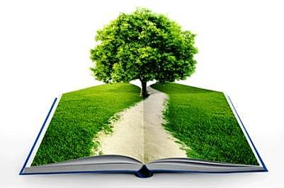 Resultados ambientales