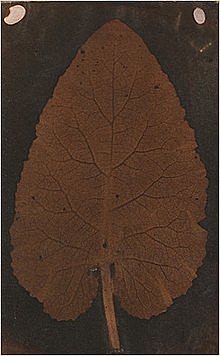 Wedgewood and Davy Collaborate on Early Photography