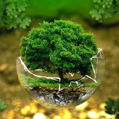 Timeline: Contaminacion Ambiental