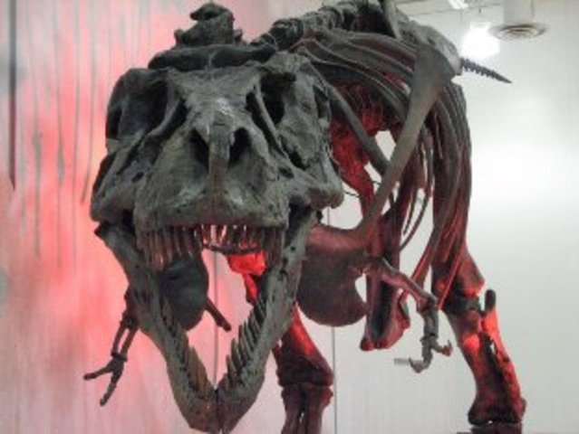 The mesozoic era ended