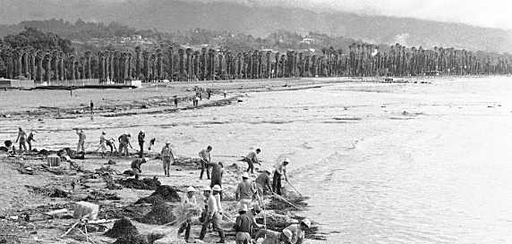 Contaminacion de los mares