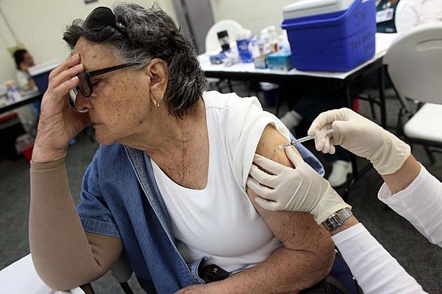 La Pandemia de la gripe porcina