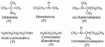 Descubrimiento del nitrógeno en bases orgánicas