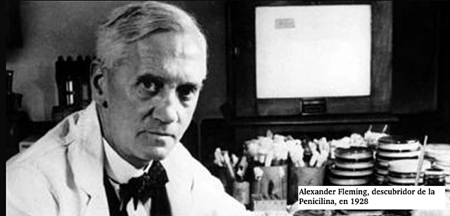 Descubrimiento de la Penicilina
