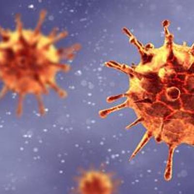 Timeline: coronavirus
