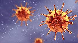 Timeline: coronavirus