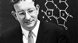 Timeline: Mecánica Cuántica