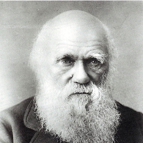 Darwin