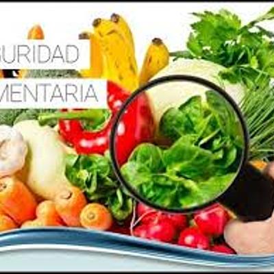 Timeline: Antecedentes de políticas públicas de SAN