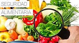 Timeline: Antecedentes de políticas públicas de SAN