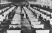 Pandemia de la Influenza