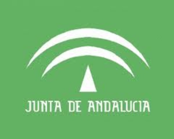 Curso  los estudios, online, de secundaria en el IEDA.