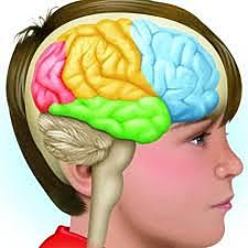 emprendedora especialista