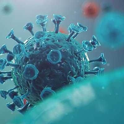 Timeline: Coronavirus -- Laura Tobon Arteaga 10A