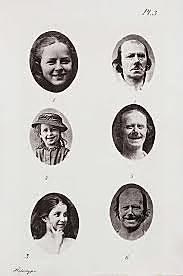 The Expression of the Emotions in Man and Animals