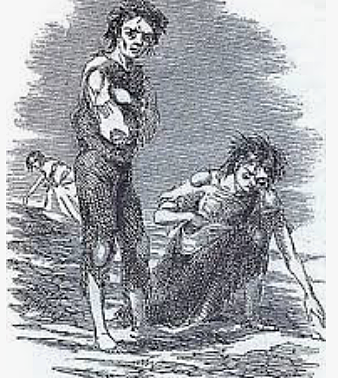Potato Famine