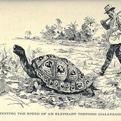 Timeline: Charles Darwin