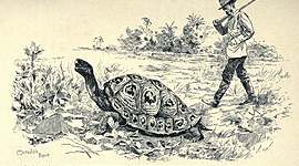 Timeline: Charles Darwin