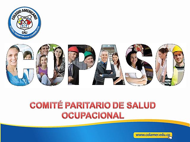 COMITÉS PARITARIOS DE SALUD OCUPACIONAL