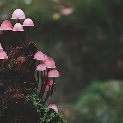 Timeline: activity 3