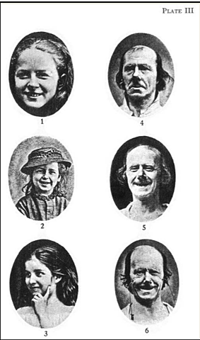 "The Origin of Species" Published