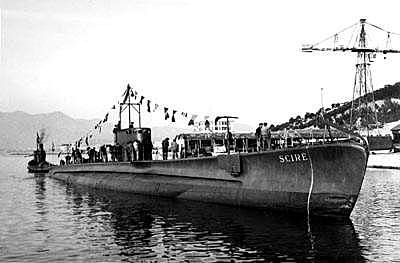 The night of Alexandria