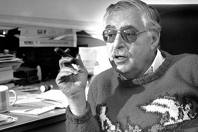 Termino "Consultor politico"