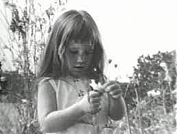 Johnson vs Goldwater