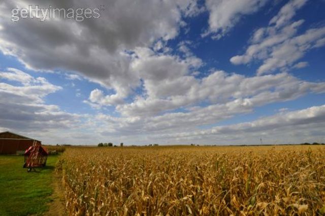 Exposition2: Setting