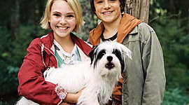 Timeline: AnnaSophia Robb