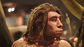 Timeline: kommunikations metoder