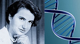 Timeline: Rosalind Franklin- By Patricia Hernández