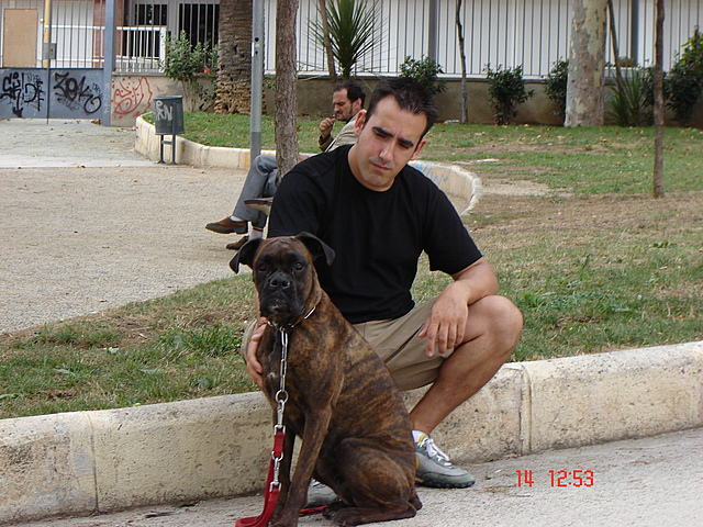 Adéu al meu primer gos