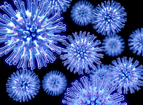 Pandemia de la gripe porcina