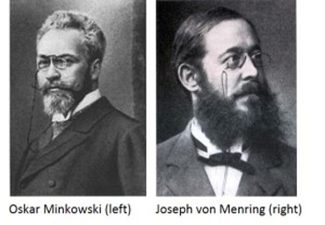 Minkowski y von Mering