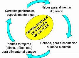 IMPLANTACIÓN DO SISTEMA NORTFOLK