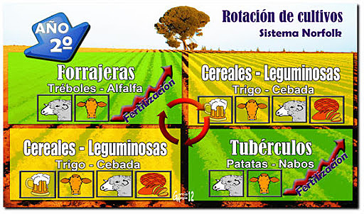 DIFUSIÓN DO SISTEMA NORFOLK