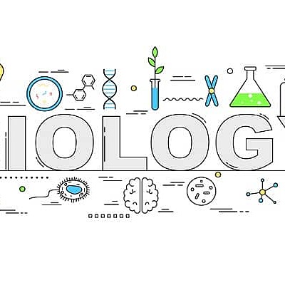 Timeline: Principles of evolution