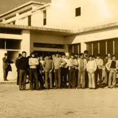 Timeline: Surgimiento histórico de EFAs en Argentina.