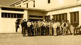 Timeline: Surgimiento histórico de EFAs en Argentina.