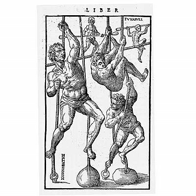 Renacimiento S. XV- XVI