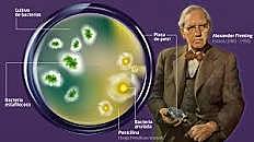 Descubrimiento de la penicilina