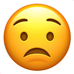 Spent christmas break alone