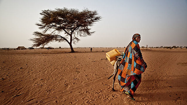 Datos destacables al Objetivo 11