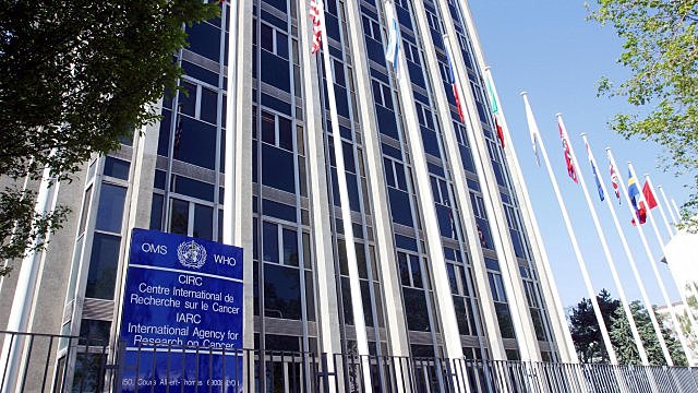 En 1965 se crea el Centro Internacional de Investigaciones sobre el Cáncer.